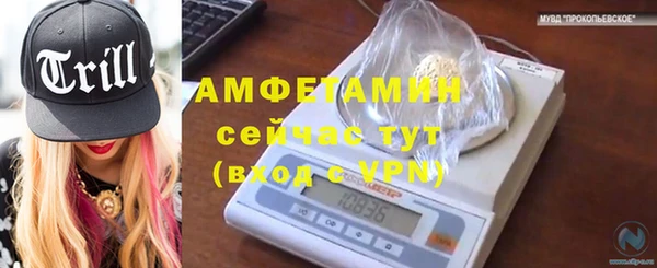 индика Гусиноозёрск