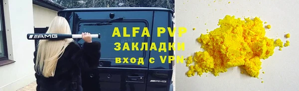 индика Алексин