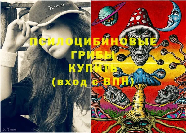 спиды Алзамай