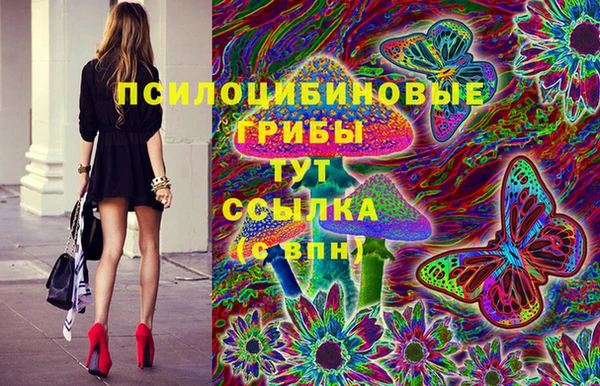 индика Алексин